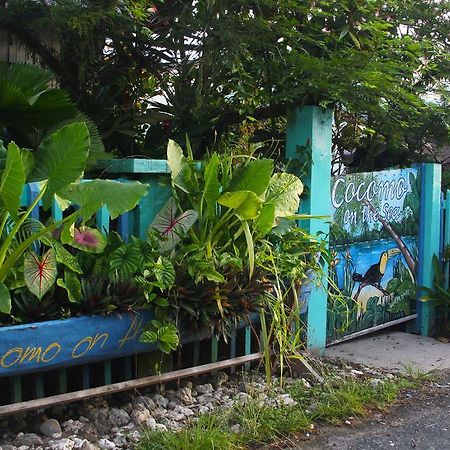 Cocomo On The Sea Bed & Breakfast Bocas del Toro Exterior photo