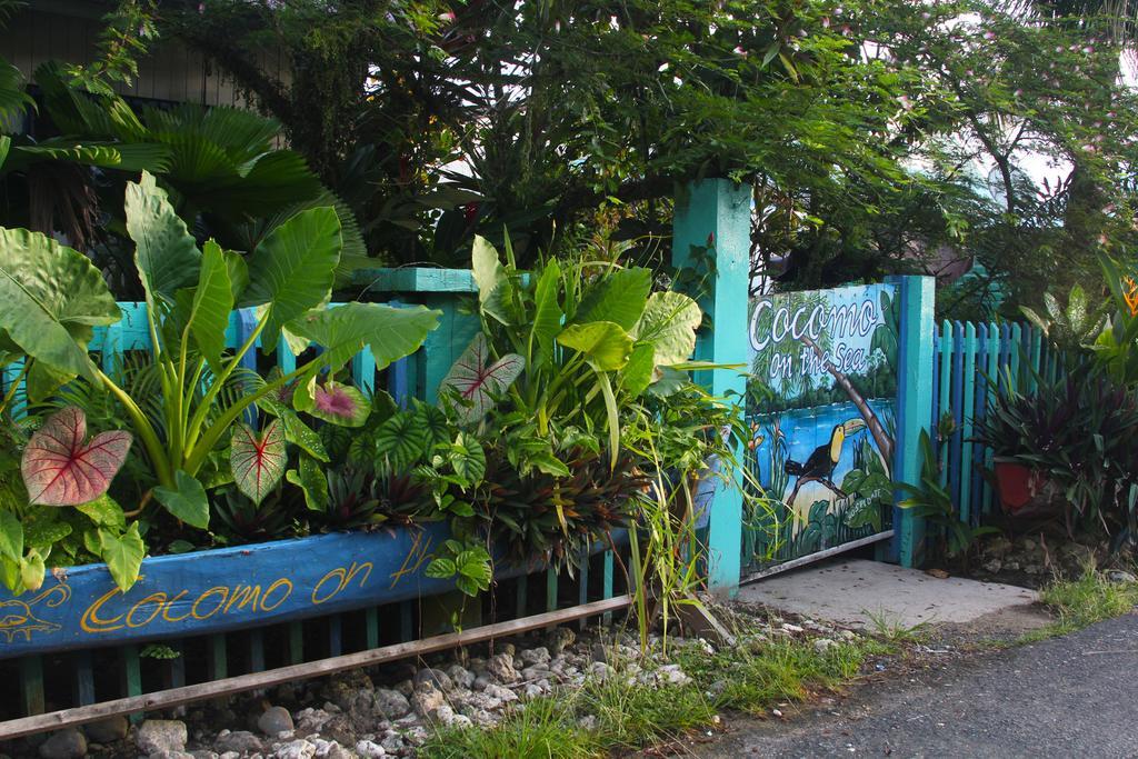 Cocomo On The Sea Bed & Breakfast Bocas del Toro Exterior photo